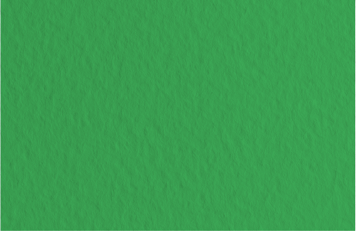 Картон для акварели и пастели А4 Tiziano Зеленый темный 12 160 г