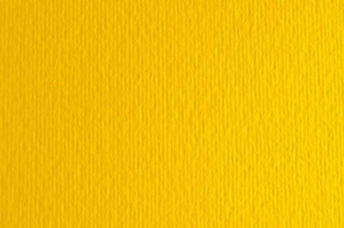 Картон для пастели и дизайна 50х70см Желтый Яркий Elle Erre 220 г 07  14670