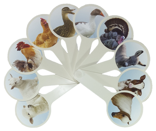 Веер с картинками - Домашние животные AS-0010, К-5376 фото 3