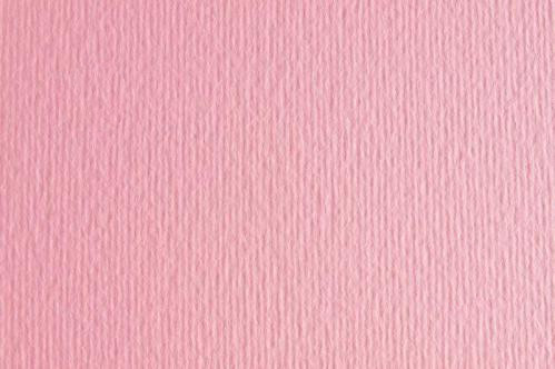 Картон для пастели и дизайна 50х70см Розовый Пастельный Elle Erre 220 г 16  14674