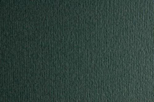 Картон для пастели и дизайна 50х70см Серый очень темный Elle Erre 220 г 22 ferro  17880