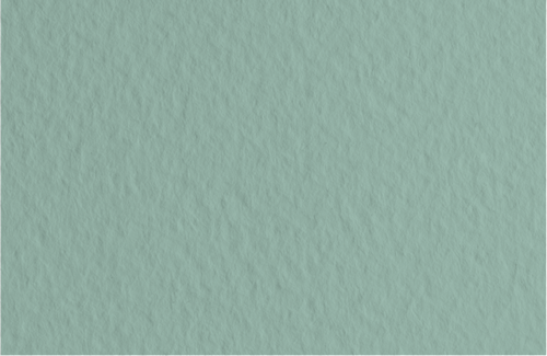 Картон для акварели и пастели А4 Tiziano Болотный 13 160 г