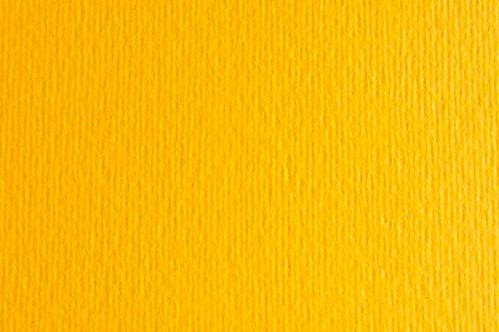 Картон для пастели и дизайна 50х70см Желтый Пастельный Elle Erre 220 г 25  14677