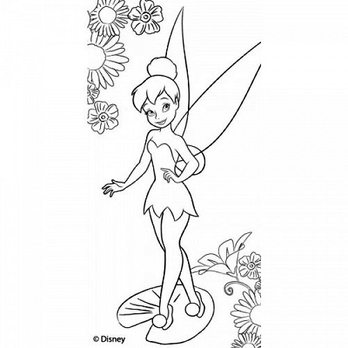 Холст с контуром Феи - 1 на подрамнике 15 х 30 см  950745