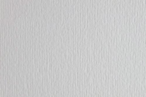 Картон для пастели и дизайна 50х70см Серый морозный Elle Erre 220 г 29 brina  04663