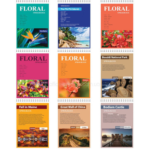 Блокнот-спираль-сверху Офорт А5 80 л # Крафт цветной 5280