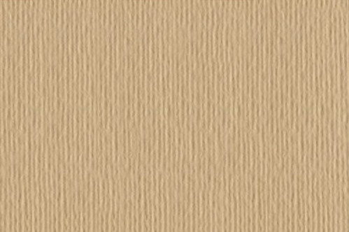 Картон для пастели и дизайна 50х70см Песочный Elle Erre 220 г 01  14667