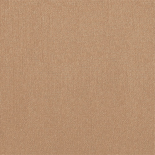 Бумага для пастели B3 Гознак Latte "Холст" 160 г 350*500 мм *7559