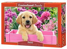 Игрушка Пазлы 500 Собака в ящике 47 х 33 см Castorland B-52226