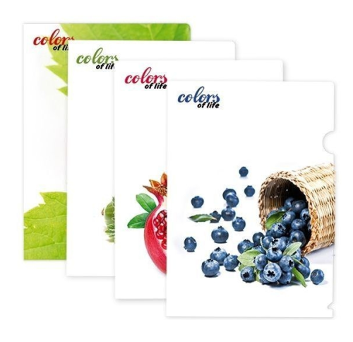 Папка уголок А4 Skiper микс картинок  SK-310CL