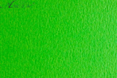 Картон для пастели и дизайна 50х70см Зеленый Яркий Elle Erre 220 г 14672 Картон для пастели и дизайна 50х70см Зеленый Яркий Elle Erre 220 г 14672