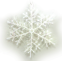 Набір декоративних сніжинок 2 штук 25 см  0645-25