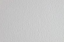 Картон для пастели и дизайна 50х70см Серый морозный Elle Erre 220 г 29 brina  04663