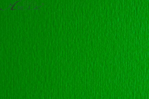 Картон для акварели и пастели 50х70 Зеленый дуб Elle Erre 220 г 11