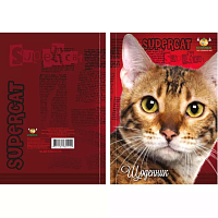 Дневник мягкая обложка МД украинский Кошки и собаки, микс Щ-В5-48-Мп-Л-Бчб