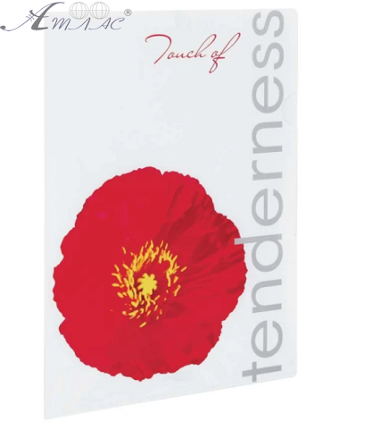 Папка уголок А4 Мак 180мкм L5151 Папка уголок А4 Мак 180мкм L5151