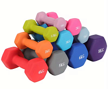 Гантели 1 кг металл 2шт в мягкой оболочке цвет микс  08756