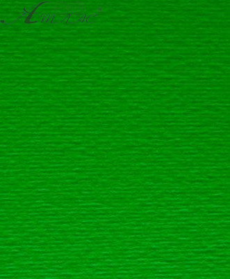 Картон для пастелі та дизайну А3 Fabriano Зелений 11 220 г