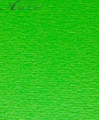 Картон для пастели и дизайна А3 Fabriano Зеленая трава 10 220 г  14618