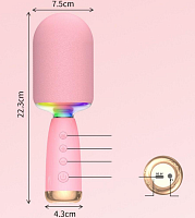 Іграшка Мікрофон караоке + колонка рожевий  К10