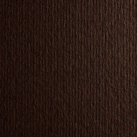 Картон для акварелі та пастелі А4 Murillo Коричневий Шоколадний 25 360 г