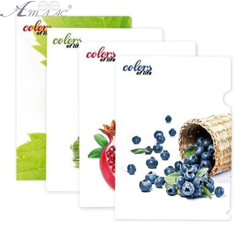 Папка уголок А4 Skiper микс картинок  SK-310CL