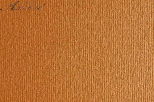 Картон для пастели и дизайна 50х70см Коричневый Светлый Elle Erre 220 г 03  17220