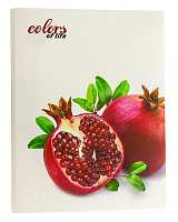 Папка с файлами на 20 файлов Skiper Colors of life А4 Гранат  SK-20CL