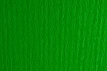 Картон для пастели и дизайна 50х70см Зеленый дуб Elle Erre 220 г 11  17221