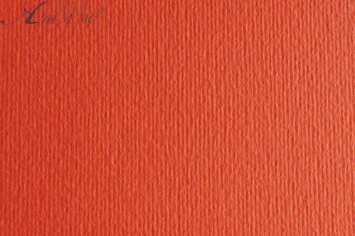 Картон для пастелі та дизайну 50х70см Помаранчевий Elle Erre 220 г 08 arancio  04659