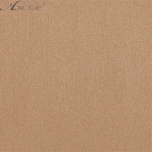 Бумага для пастели B3 Гознак Latte "Холст" 160 г 350*500 мм *7559
