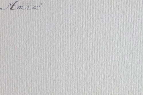 Картон для акварели и пастели 50х70 Серый морозный Elle Erre 220 г 29 brina