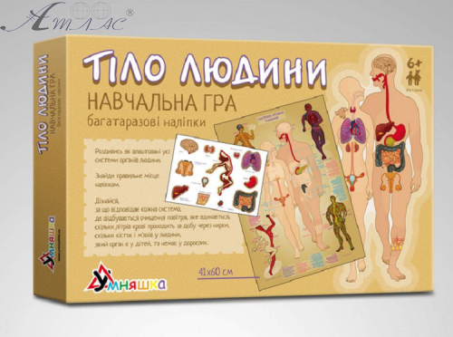 Игрушка Настольная Тело человека с многоразовыми наклейками КП-004