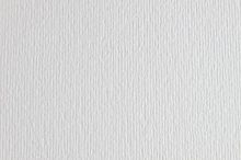 Картон для пастелі та дизайну 50х70см Білий Elle Erre 220 г 00  17879