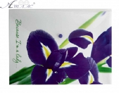 Папка на кнопке А4 LEO Ирис L5801 Папка на кнопке А4 LEO Ирис L5801