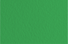 Картон для акварели и пастели А4 Tiziano Зеленый темный 12 160 г