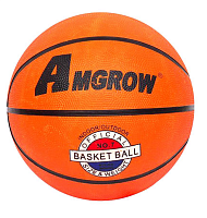 Іграшка М'яч Баскетбольний Profiball у сітці  12472