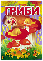 Раскраска Грибы А 4, 8 страниц под карандаш  U-00006