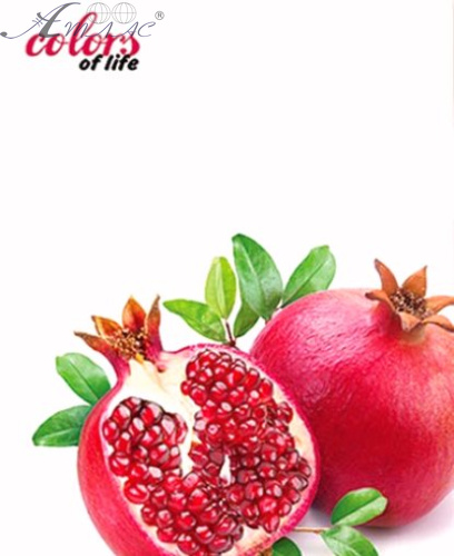 Папка швидкозшивач Skiper А4 полуниця, гранат  SK-12CL фото 2