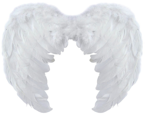 Игрушка Крылья Ангела карнавальные ПЕРО 60 х 42см 09598 Игрушка Крылья Ангела карнавальные ПЕРО 60 х 42см 09598