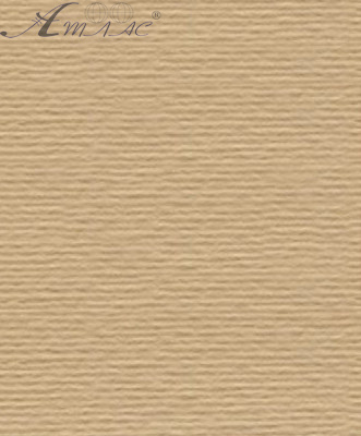 Картон для пастели и дизайна А3 Fabriano Бежевый 01 220 г