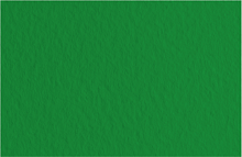 Картон для акварелі та пастелі А4 Tiziano Зелений темний 37 160 г