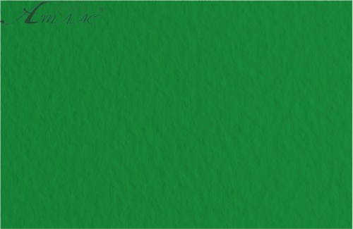 Картон для акварели и пастели А4 Tiziano Зеленый темный 37 160 г