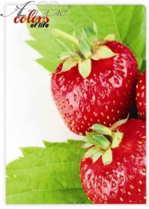 Папка с прижимами Skiper А4 Colors of life SK-11 Папка с прижимами Skiper А4 Colors of life SK-11