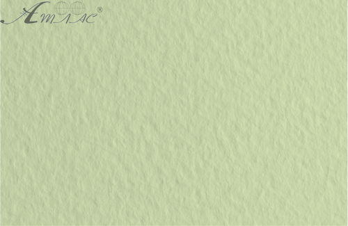 Картон для акварели и пастели А4 Tiziano Зеленый светлый 11 160 г