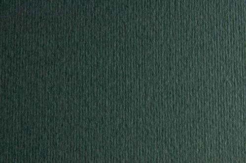 Картон для пастелі та дизайну 50х70см Сірий дуже темний Elle Erre 220 г 22 ferro  17880