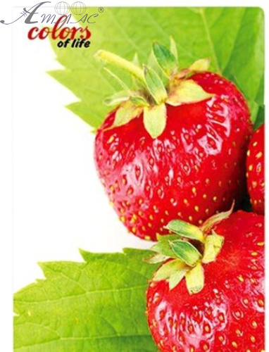 Папка швидкозшивач Skiper А4 полуниця, гранат SK-12CL