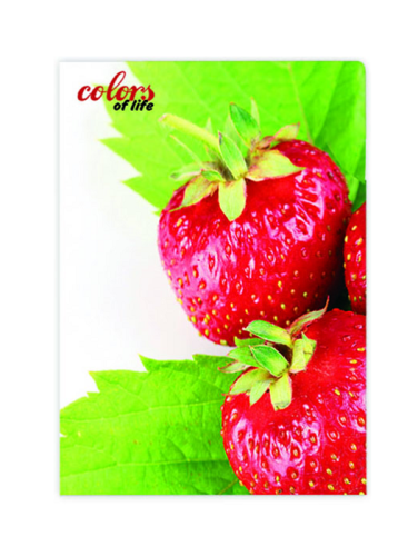 Папка с файлами на 20 файлов Skiper Colors of life А4 Клубника  SK-20CL