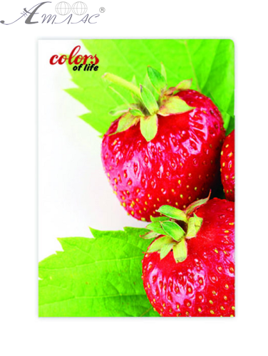 Папка з файлами на 20 файлів Skiper Colors of life А4 Полуниця  SK-20CL