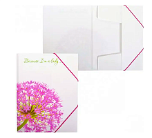 Папка на гумках А4 Leo "Аліум"  490632